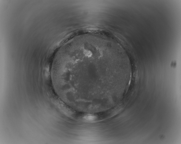 X0000113580610200910091504