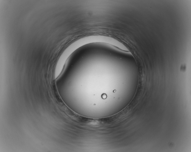 X0000113580611200910091504