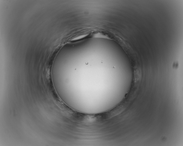 X0000113580613200910091503