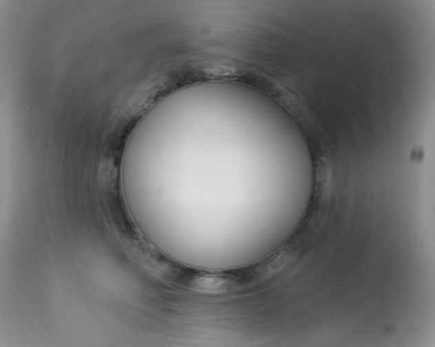 X0000113580614200910091503