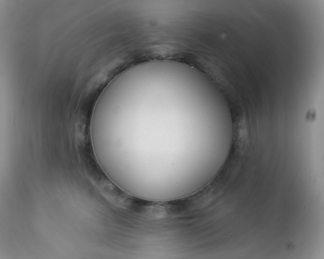 X0000113580615200910091503