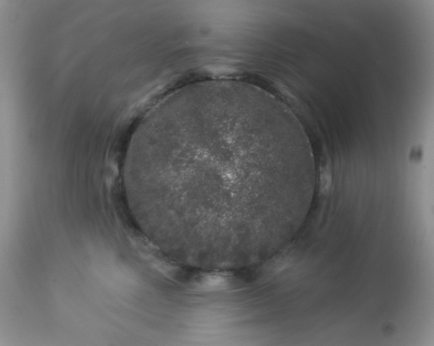 X0000113580618200910091503