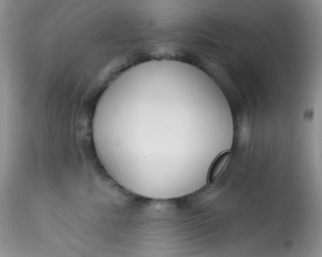 X0000113580619200910091503