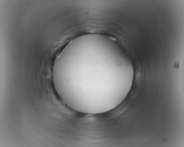 X0000113580620200910091503