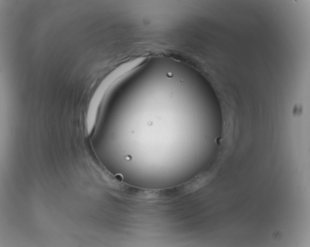 X0000113580624200910091503