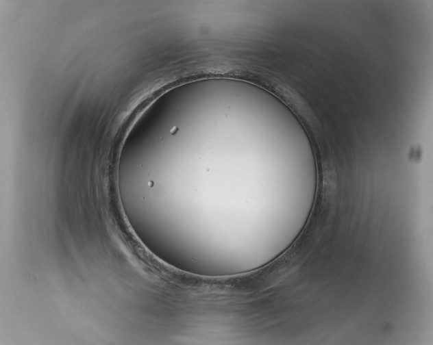 X0000113580626200910091502