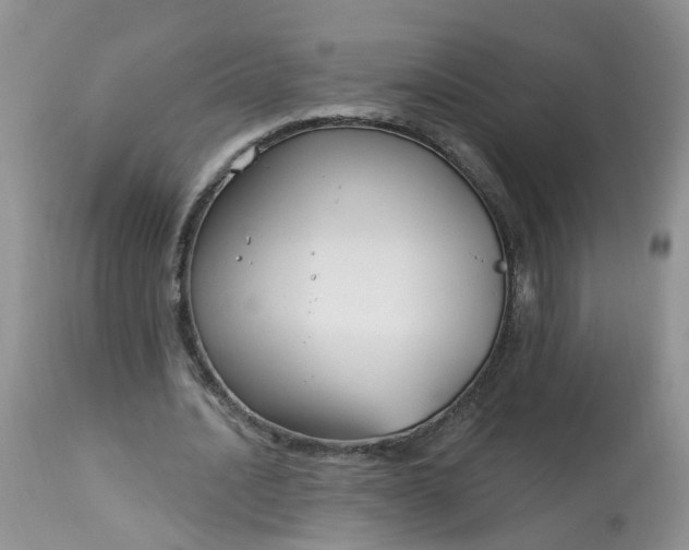 X0000113580628200910091502