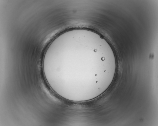 X0000113580629200910091502