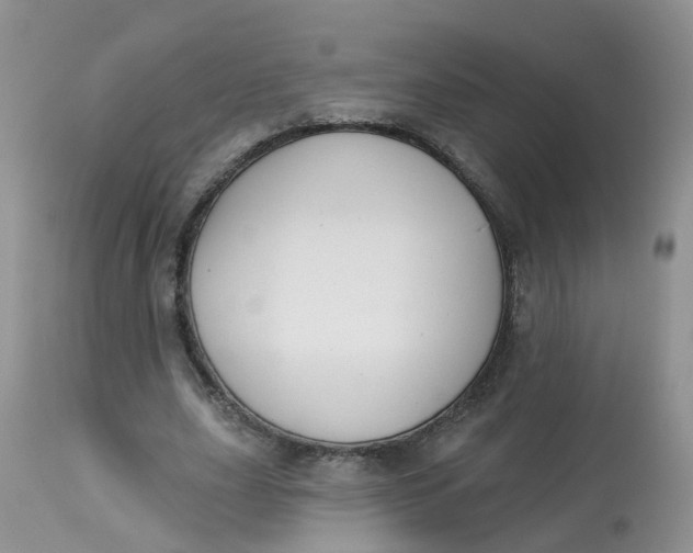 X0000113580631200910091503