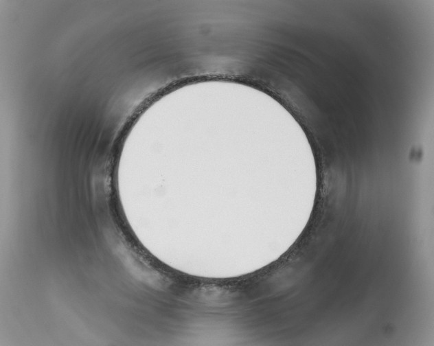 X0000113580632200910091503