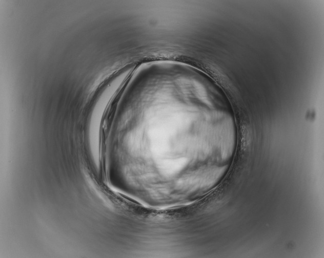 X0000113580634200910091503