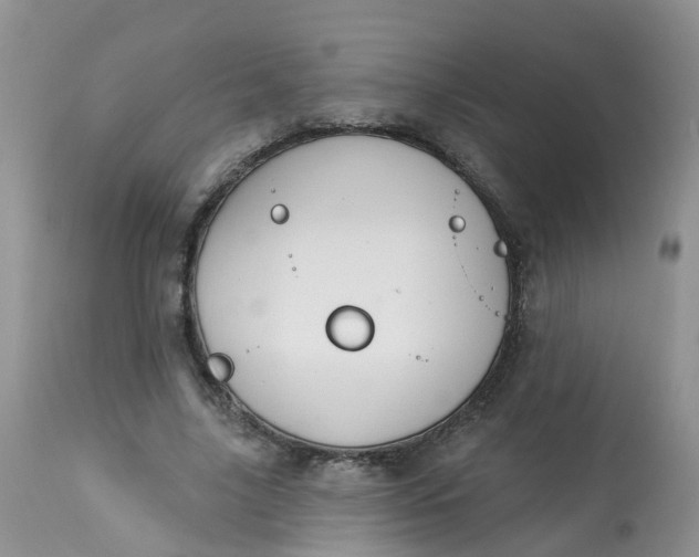 X0000113580635200910091503