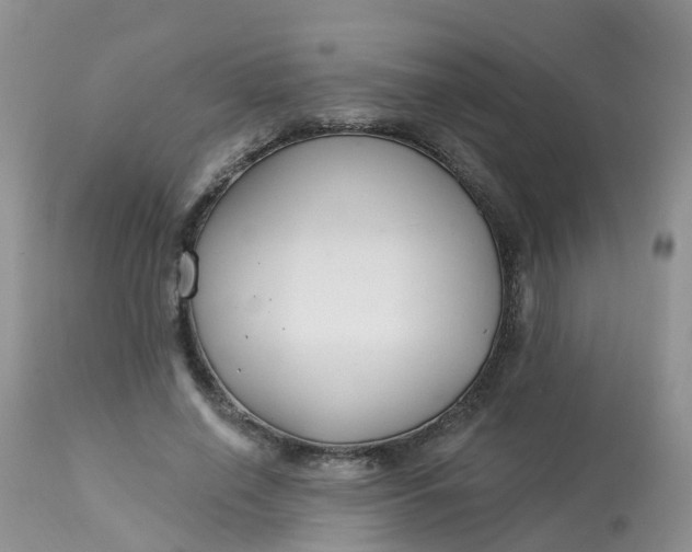 X0000113580638200910091503