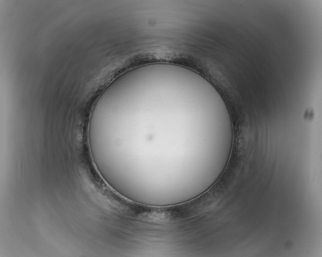 X0000113580639200910091503