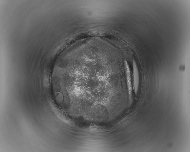 X0000113580641200910091503