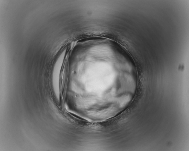 X0000113580642200910091503