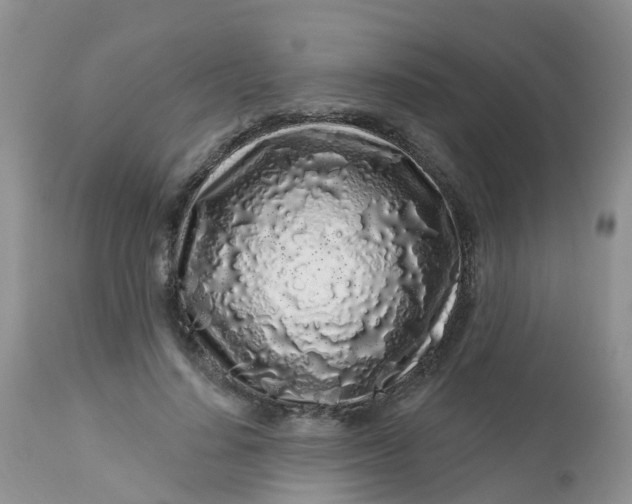 X0000113580644200910091503