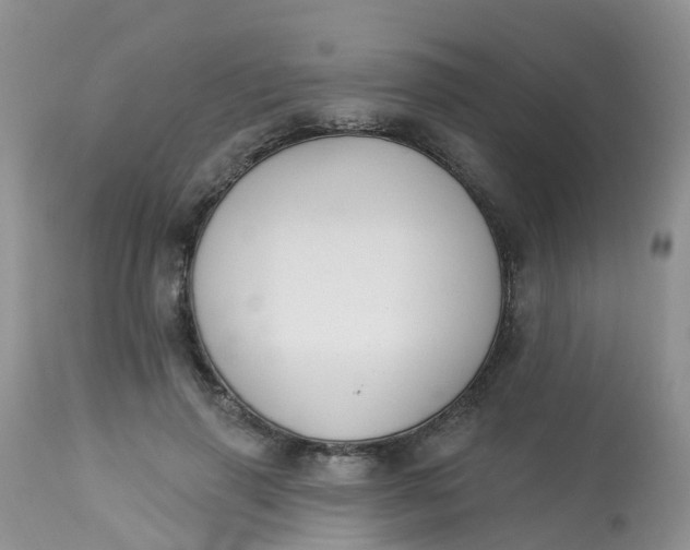 X0000113580645200910091503