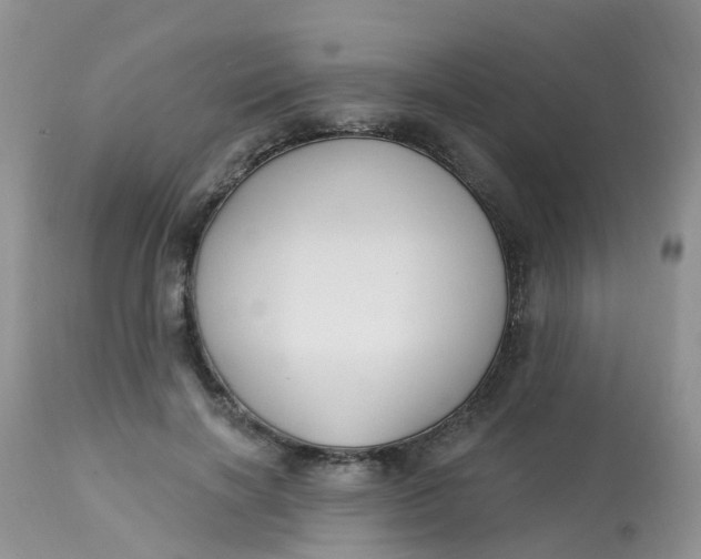 X0000113580646200910091503