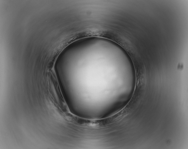 X0000113580647200910091503