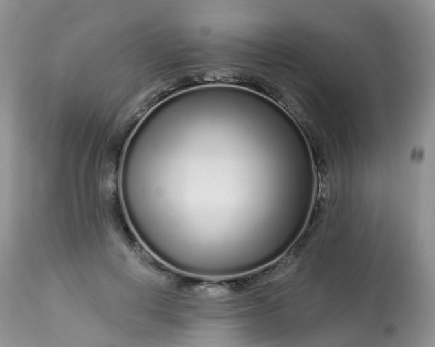 X0000113580648200910091503