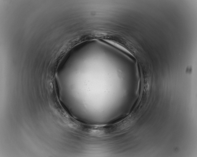 X0000113580653200910091503