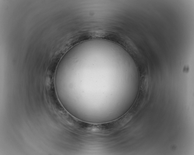 X0000113580655200910091503