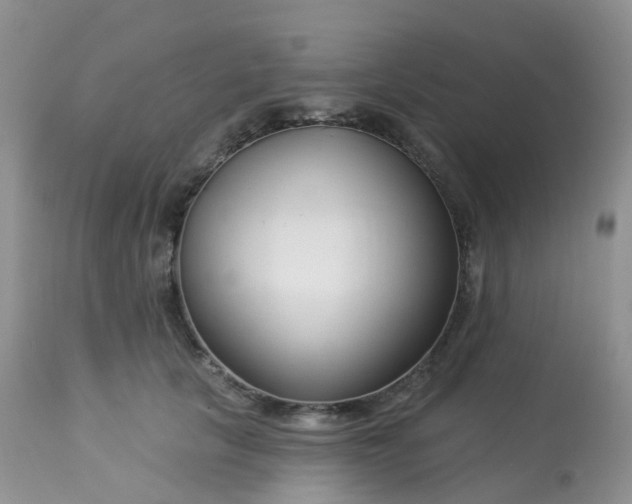 X0000113580657200910091503