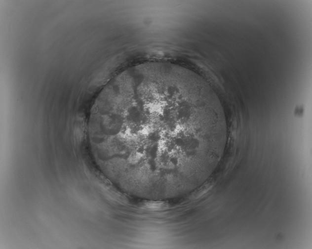 X0000113580659200910091503