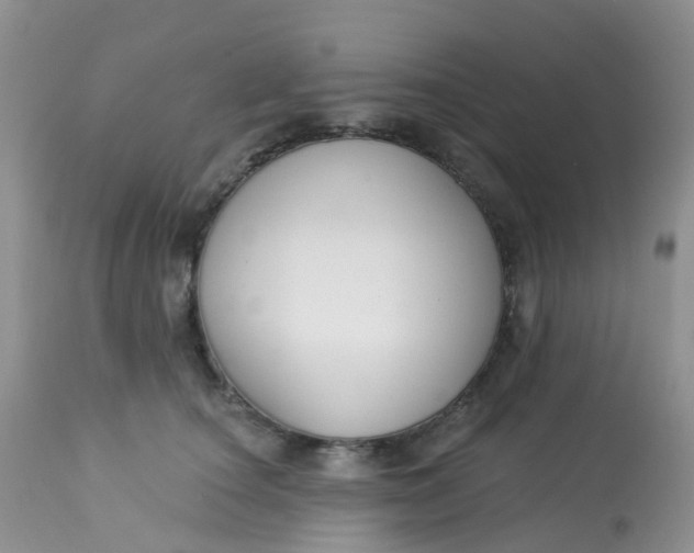 X0000113580660200910091503