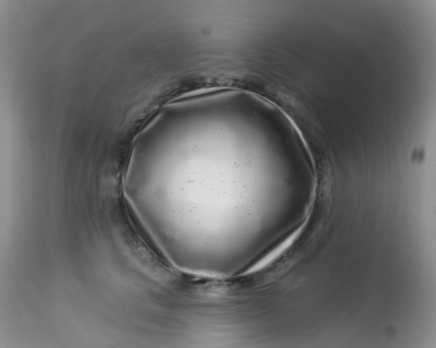 X0000113580661200910091503