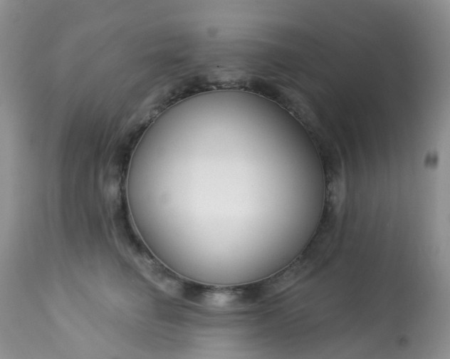 X0000113580662200910091503