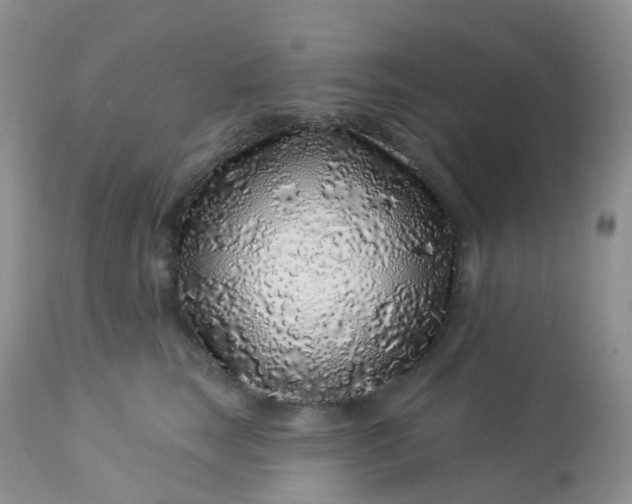 X0000113580663200910091503