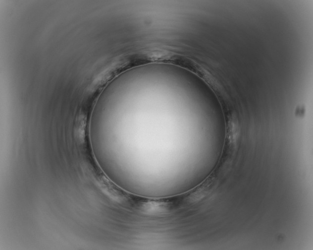 X0000113580664200910091503