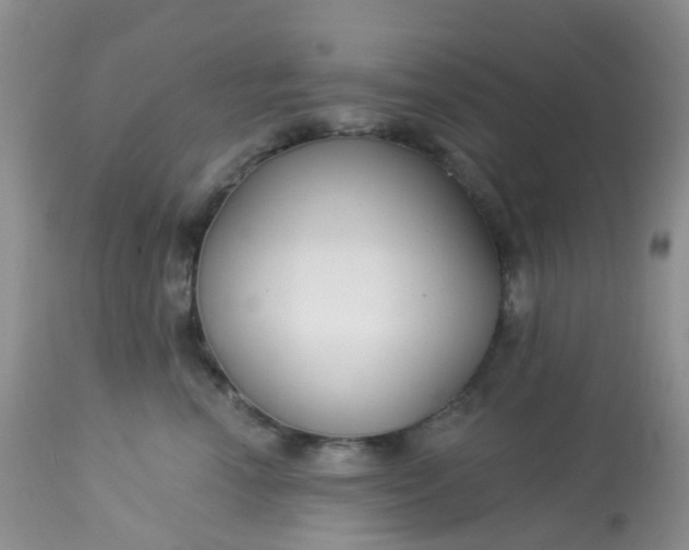 X0000113580666200910091503