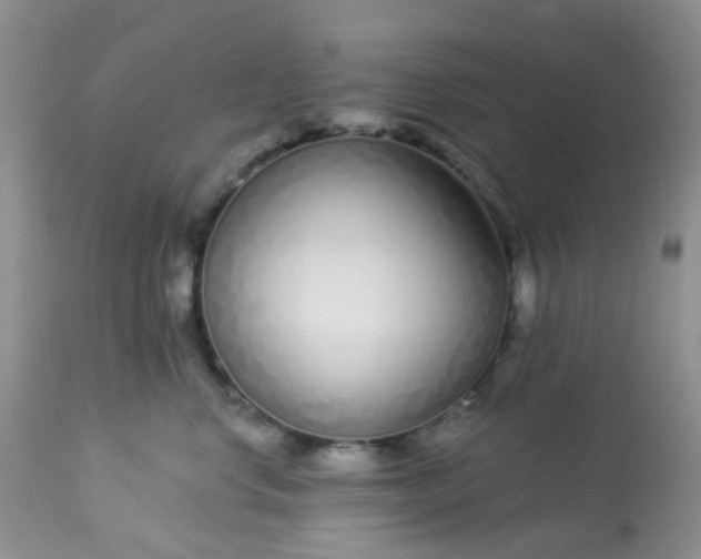 X0000113580668200910091503