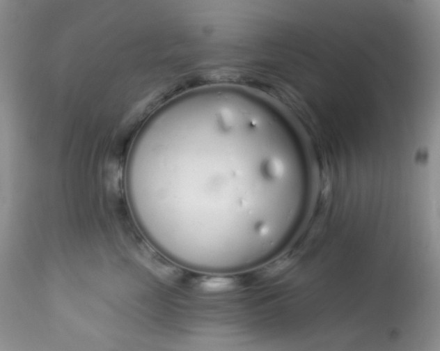 X0000113580669200910091503