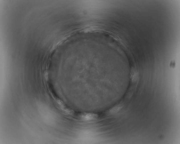 X0000113580670200910091503