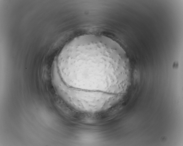 X0000113580671200910091503