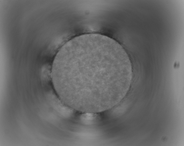 X0000113580672200910091503