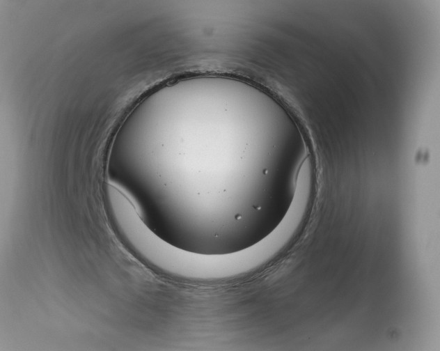 X0000113580673200910091502