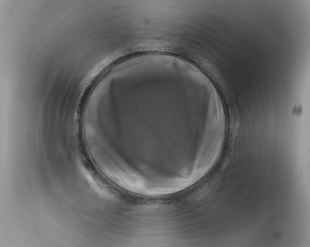 X0000113580674200910091502