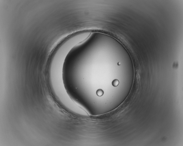 X0000113580676200910091502