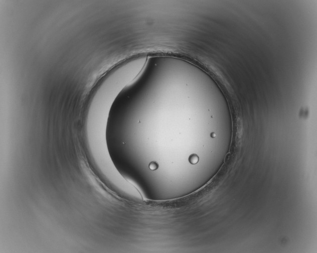 X0000113580677200910091502