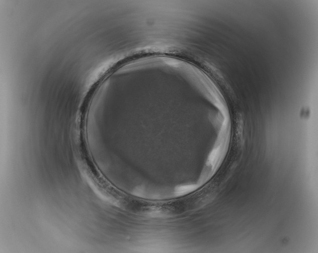 X0000113580678200910091502