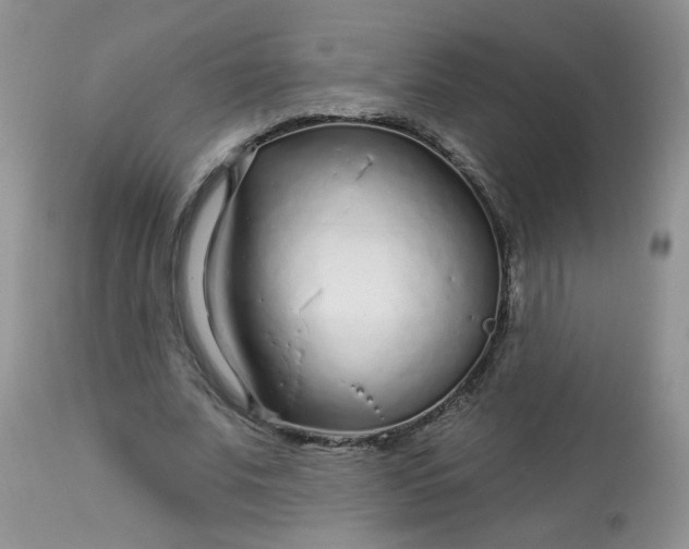 X0000113580679200910091502