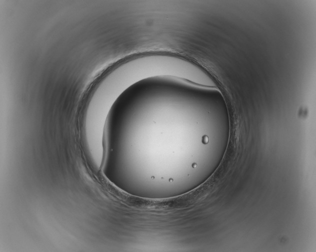 X0000113580680200910091502