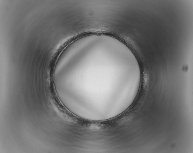 X0000113580684200910091502