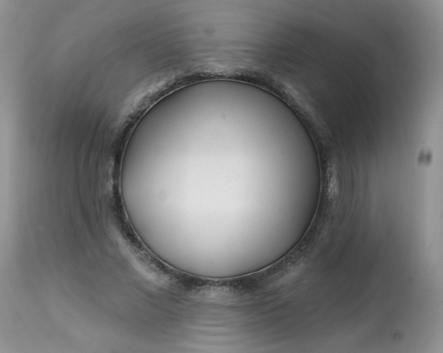 X0000113580685200910091502