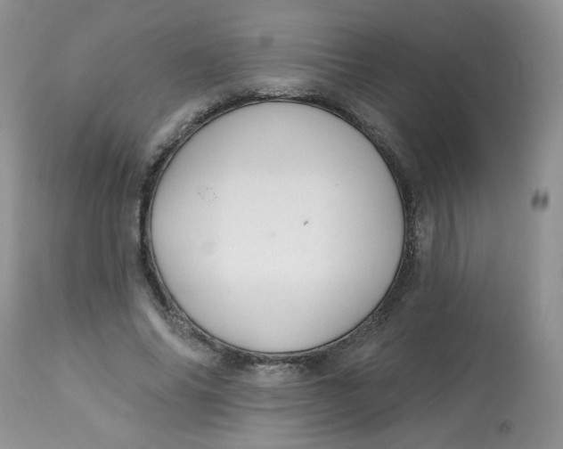 X0000113580686200910091502